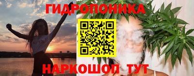 гашик Лесосибирск