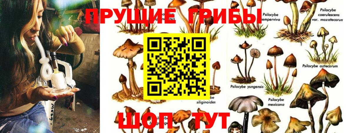 Псилоцибиновые грибы прущие грибы Гагарин