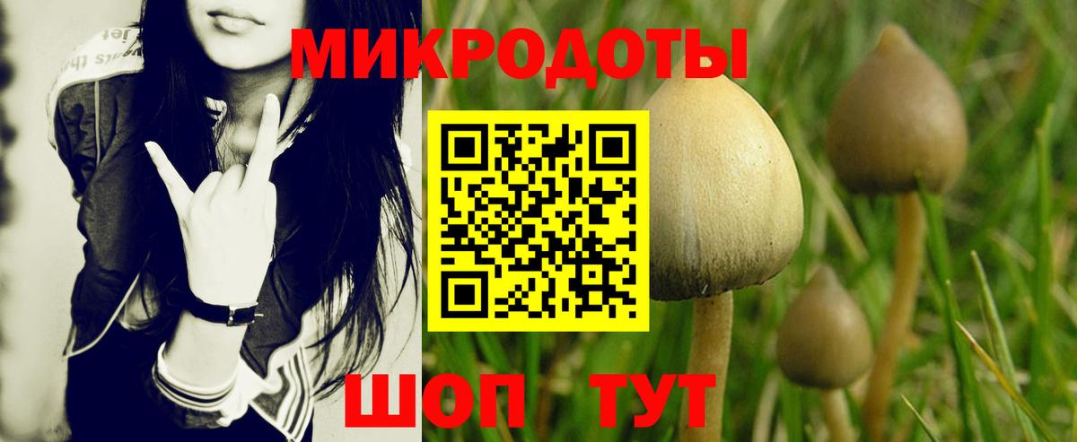 Галлюциногенные грибы Psilocybine cubensis  Вход с VPN  Гагарин 